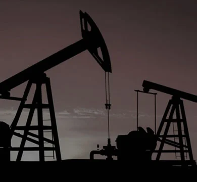 HS Die Steel & Shaped Forgings Products that applied in Petrochemical Machinery